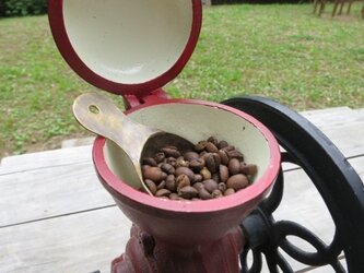 コーヒーメジャーの画像