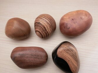 木の石ころ（五樹種）の画像