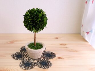 レース編みの敷物の画像