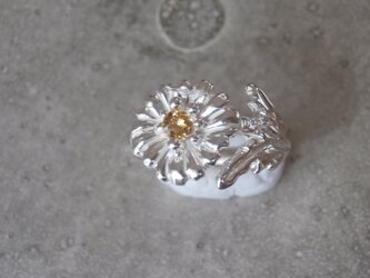 一輪の花の指輪の画像