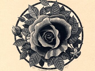 過ぎにし薔薇の名を我は知らずの画像