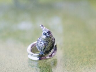 オカメインコイヤーカフ 燻しの画像