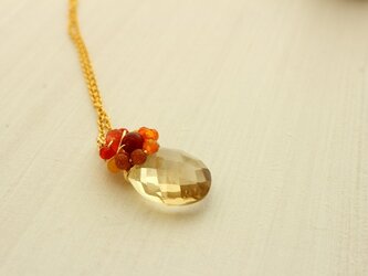 再販＊シャンパンクォーツ＊カーネリアン＊レッド＊マルチカラージェム＊14kgfネックレス＊no.362の画像
