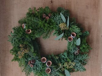 ユーカリの実のクリスマスリースの画像