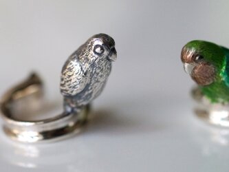 コザクラインコイヤーカフ燻しの画像