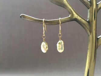 淡水パール*gold dot*ピアス14kgfの画像