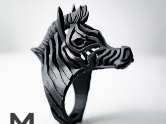 縞馬 / ZEBRA ringの画像