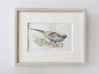 額付き水彩画「キジ」原画の画像