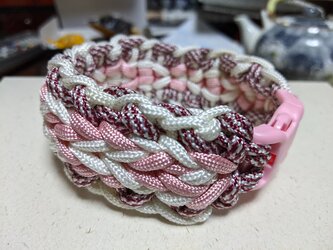 ウイペット、イタグレなど首の細い犬種用　バックルタイプ首輪　(内周２４cm)の画像