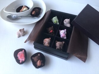 選べるチョコレートみたいな猫さん6匹セットの画像