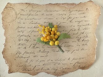 染め花のミモザのポニーフックの画像