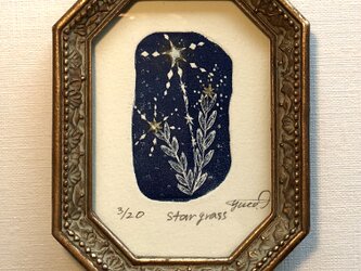 銅版画「star grass」の画像