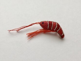 エビ - ブローチの画像