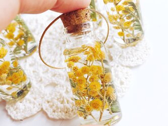 春を告げるミモザのコルク瓶   spring    バッグチャーム   キーホルダーの画像