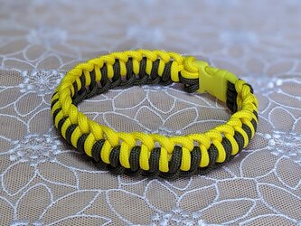 猫ちゃん＆小型犬用　バックルタイプの首輪　(内周２1.5cm)の画像