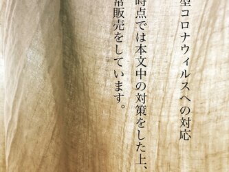 新型コロナウィルスへの対応　　　　(価格は表示上の都合でつけています。販売商品ではありませんのでご注意下さい)の画像