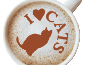＜＋R＞CATSカフェアートステンシル　よそ見の画像