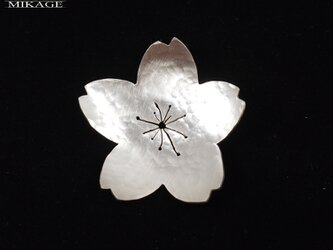 Simply Sakura Brooch：銀９２５桜ブローチの画像