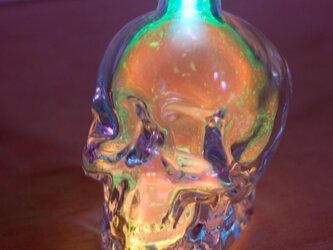 Skull [オレンジ/グリーン]の画像