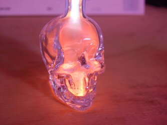 Skull [ピンク/ブルー]の画像