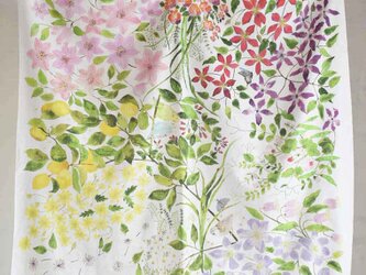 コットンシルクスカーフ「clematis garden」の画像