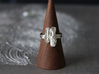 樹の記憶 silver925リングの画像
