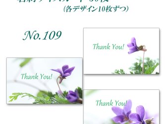 No.109 可憐なスミレたち    名刺サイズサンキューカード   30枚の画像