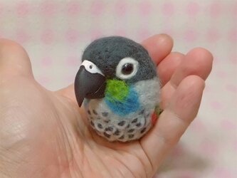アオシンジュウロコインコ☆マグネット/ブローチどちらか選択 受注作成　羊毛フェルト　羊毛インコ　メモリアル　うちの子オーダー可能の画像