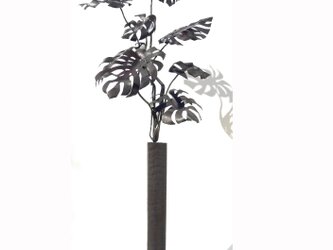 【鉄の植物　カセキの時間シリーズ】OKP-051　想-モンステラの画像
