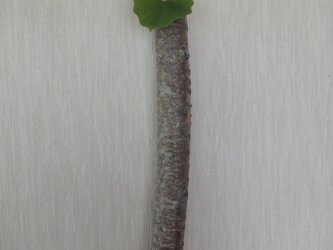 自然釉焼締め一輪挿し(C)の画像