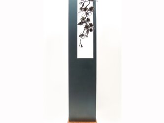 【鉄の植物　カセキの時間シリーズ】BOX 桜　OKP-162の画像