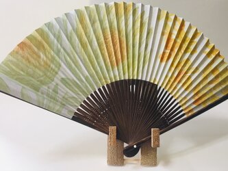 プロティア/南方の風の画像