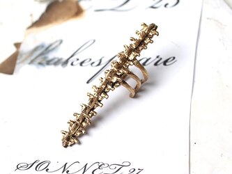 Spine long ringの画像