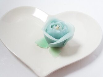 light blue roseの画像