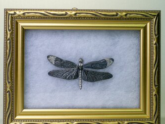 銀蟲細工『蝶トンボの細密標本』の画像