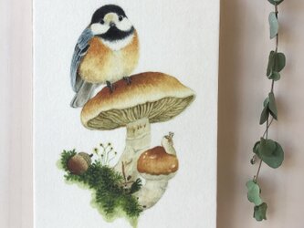 「ヤマガラとオオツガタケ」の13x20cm パネルの画像