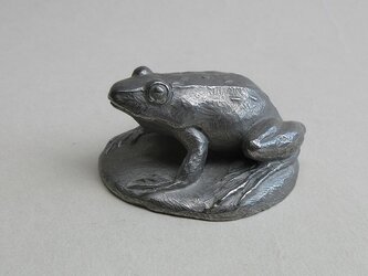 トノサマガエルの画像