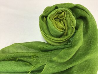 草木染め　絹ストール　緑グラデーションの画像