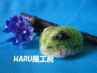 ニホンアマガエルの画像