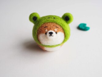【受注製作】なりきりカエルのまゆ柴犬(赤柴・黒柴・白柴)  羊毛フェルトの画像
