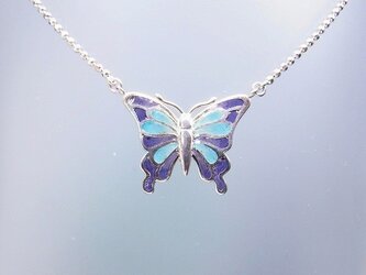 「Butterfly」の画像