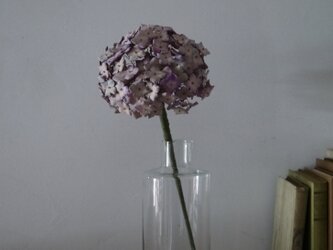革花の紫陽花の画像