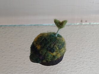 羊毛で作ったクルミの芽の画像