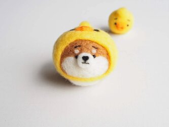 【受注製作】なりきりひよこのまゆ柴犬(赤柴・黒柴・白柴)  羊毛フェルト(アクレーヌ)の画像