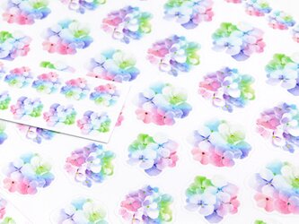 カラフル紫陽花の花びら光沢紙シールの画像