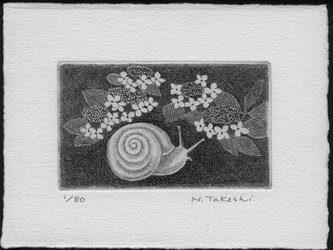 かたつむりと紫陽花/ 銅版画 (作品のみ）の画像