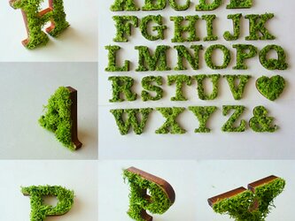 木製 アルファベットオブジェ(モス) ５個セットの画像