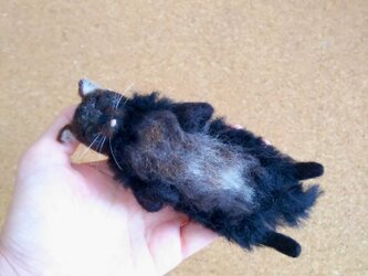 ナデナデ猫（仰向け）の画像