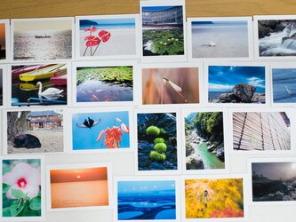 Lサイズの写真・水辺や動物のいる風景他色々25枚セット(L008)の画像