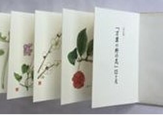 彩色版『万葉の野の花』12ケ月　の画像